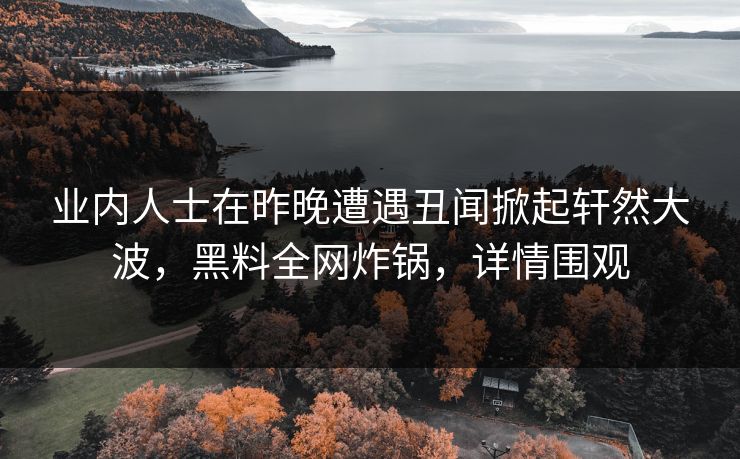 业内人士在昨晚遭遇丑闻掀起轩然大波，黑料全网炸锅，详情围观