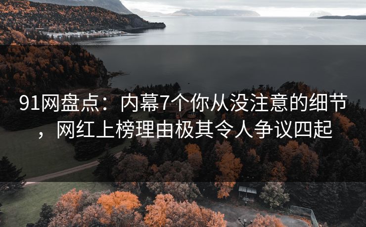 91网盘点：内幕7个你从没注意的细节，网红上榜理由极其令人争议四起