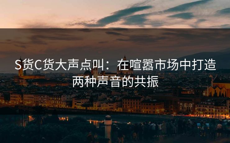 S货C货大声点叫：在喧嚣市场中打造两种声音的共振