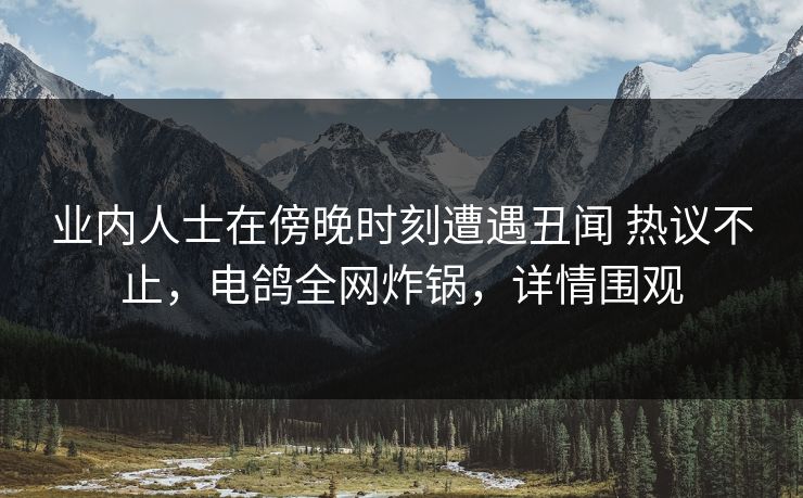 业内人士在傍晚时刻遭遇丑闻 热议不止，电鸽全网炸锅，详情围观
